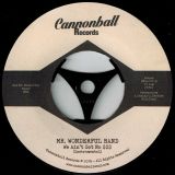 Mr. Wonderful Band – We Ain’t Got No $$$ b/w Instrumental Version