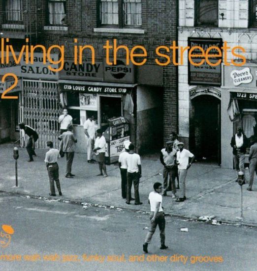 V.A. - Living In The Streets Vol.2 - BGP 2LP