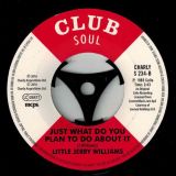 Jerry Williams – If You Ask Me (Because I Love You) b/w Little Jerry Williams – Just What Do You Plan To Do About It – Club Soul 7″