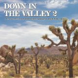 V.A. – Down In The Valley 2 – Perfect Toy LP