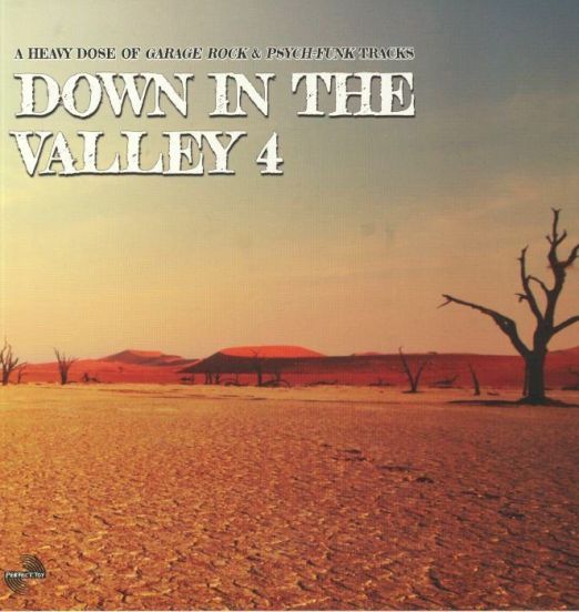 V.A. - Down In The Valley 4 - Perfect Toy LP