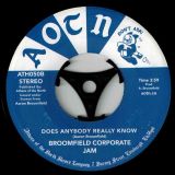 Aaron Broomfield – I’m Gonna Miss Ya b/w Broomfield Corporate Jam – Does Anybody Really Know- Athens Of The North 7″