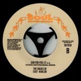 Voices of East Harlem – Wanted Dead Or Alive b/w Can You Feel It – Soul Brother 7″