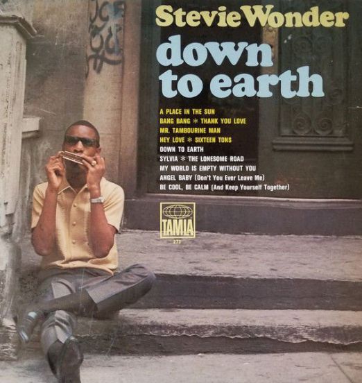 Stevie Wonder - Down To Earth - Tamla LP