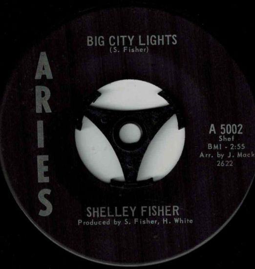 Shelley Fisher - Big City Lights b/w Elegy (Plain Black Boy) - Aries 7"