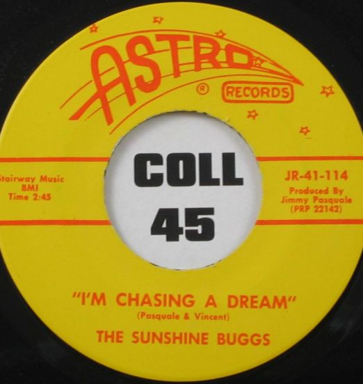The Sunshine Buggs - I'm Chasing A Dream b/w Four Walls - Astro 7"
