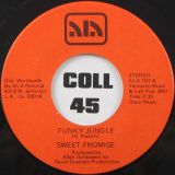 Sweet Promise – Funky Jungle b/w I’m A Music Man – The Record Company 7″