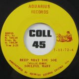 Soulful Mary – Funky Soul b/w Reep What You Soe – Aquarius 7″