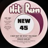 Ernie Shelby – I May Not Be What You Want b/w I’ll See You Through – Hit & Run 7″