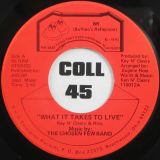 The Chosen Few Band – What It Takes To Live b/w To Love – BR 7″