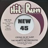 Delreys Incorporated – Destination Unknown b/w Crying In My Sleep – Hit & Run 7″