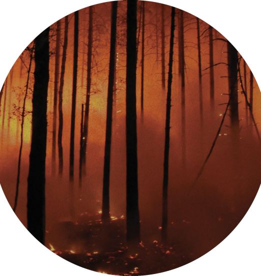 Sedvs - Pieces Of Agitation - Bare Hands 12"