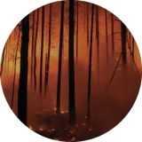 Sedvs – Pieces Of Agitation – Bare Hands 12″