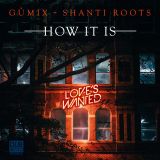 G?mix + Shanti Roots – How It Is – Dub Club 12″