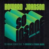 Howard Johnson – So Insane b/w Remix feat. T-Groove & Yuma Hara – Six Nine UK 7″