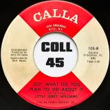 Little Jerry Williams – Just What Do You Plan To Do About It b/w Baby, You’re My Everything – Calla 7″