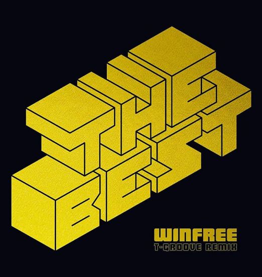Winfree - The Best (T-Groove Remix b/w I Love The Way - Six Nine 7"