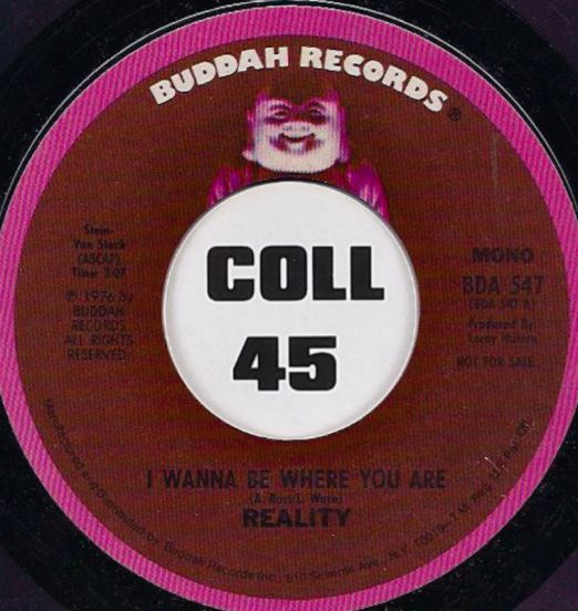 Reality - I Wanna Be Where You Are b/w Mono Version - Buddha DJ 7"