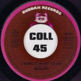 Reality – I Wanna Be Where You Are b/w Mono Version – Buddha DJ 7″