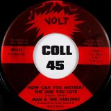 Jean & The Darlings – How Can You Mistreat The One You Love b/w That Man Of Mine – Volt 7″