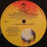 Elements Of Life Feat. Lisa Fischer & Cindy Mizelle – Into My Life (You Brought The Sunshine) – Vega 2×12″