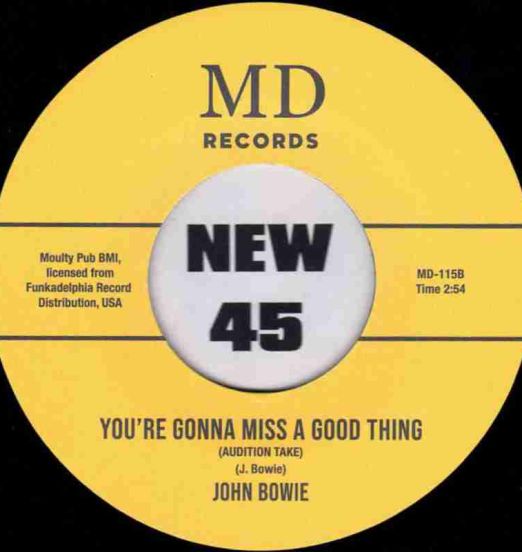 JohnBowie-You’reGonnaMissAGoodThingB
