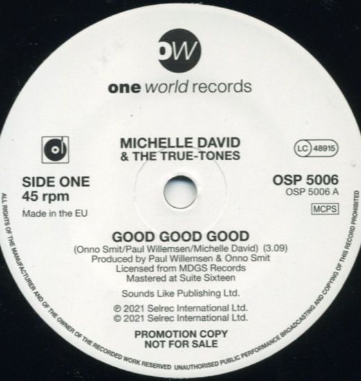 Michelle David - Good Good Good b/w Instrumental - One World DJ 7"