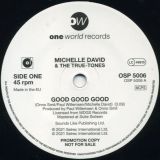 Michelle David – Good Good Good b/w Instrumental – One World DJ 7″