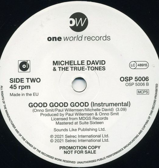 MichelleDavid&TheTrueTones-GoodGoodGood(instrumental)PromoB