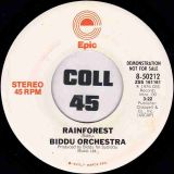 Biddu Orchestra – Rainforest Stereo b/w Mono – Epic DJ 7″