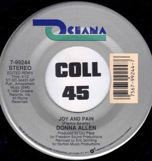 DonnaAllan-JoyAndPainA