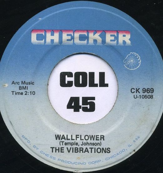 TheVibrationsB