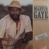 Marvin Gaye – Sanctified Lady b/w Instrumental – Columbia 12″