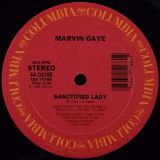 Marvin Gaye – Sanctified Lady b/w Instrumental – Columbia 12″