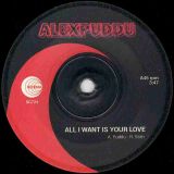 Alex Puddu feat. Rodney Stith – All I Want Is Your Love b/w Don’t Hold Back – Schema 7″