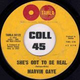 Marvin Gaye – Ain’t That Peculiar b/w She’s Got To Be Real – Tamla 7″