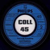 Santa Esmeralda & Leroy Gomez – Don’t Let Me Be Misunderstood b/w You’re My Everything – Philips 7″