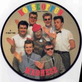 Madness	– House Of Fun b/w Don’t Look Back – Stiff UK PICDISC 7″