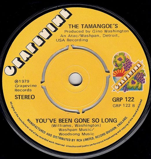 TheTamangoes-YouveBeenGoneSoLong
