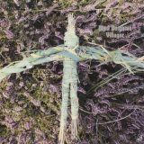 Matt Deighton – Villager – Acid Jazz LP
