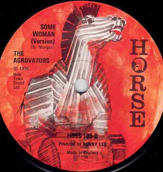 TheAgrovators-SomeWoman(Version)B