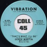 Derek Martin  – Falling Out Of Love b/w That’s What I’ll Do – Vibration 7″