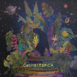 Chillum Trio – Cosmotropica – Budabeats HU 12″