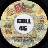 Double Exposure – My Love Is Free b/w Just Can’t Say Hello – Salsoul 7″