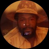 Marvin Gaye – Dream Of A Lifetime – Columbia US LP Picture Disc