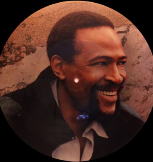Marvin Gaye – Dream Of A Lifetime - Columbia US LP Picture Disc