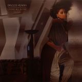 Phyllis Hyman – Living All Alone – PIR LP