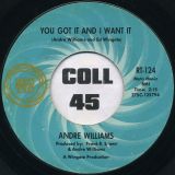 Andre Williams – You Got It And I Want It b/w I Can’t Stop Crying – Ric Tic 7″