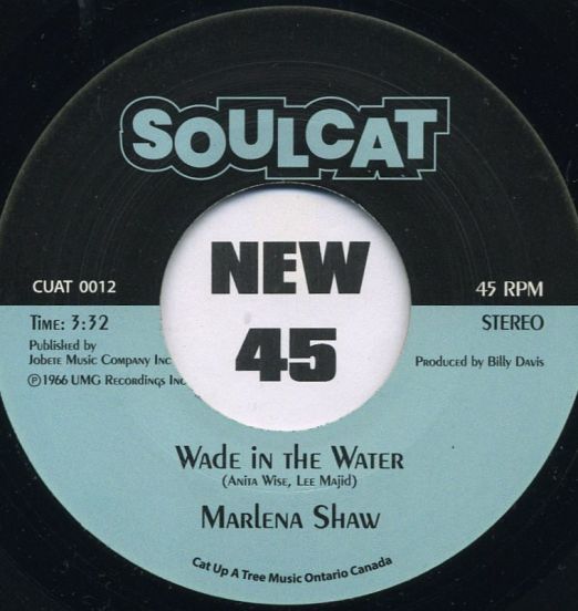MarlenaShaw-WadeInTheWaterA