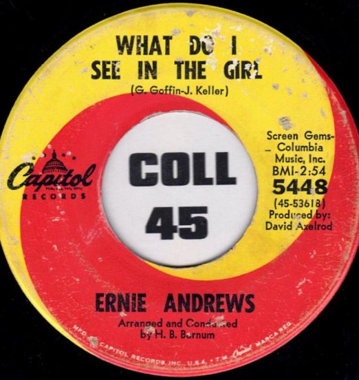ErnieAndrews-What Do ISeeInTheGirl
